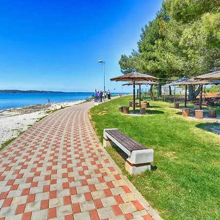 Apartment With Pool In Valbandon-istrien 51190 Valbandon